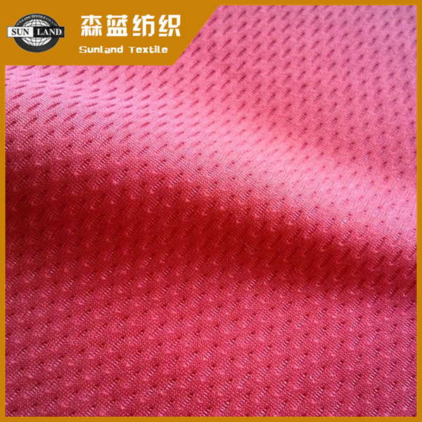 甘肃全涤有光大鸟眼 Polyester shiny heavy birdeye