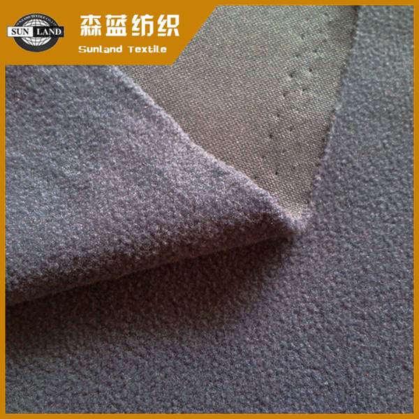 定西消光pk摇粒绒 Full dull PK polar fleece