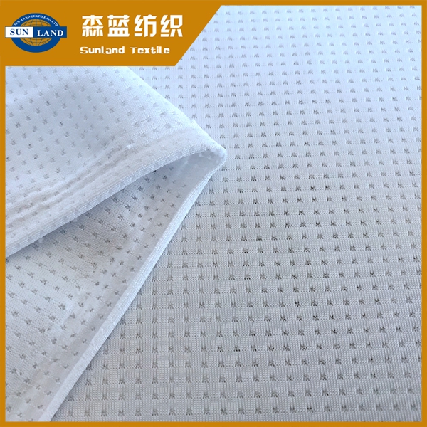 固原半光氨纶网眼 Semi-gloss spandex mesh